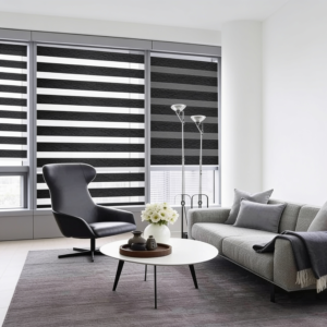 Zebra Blinds